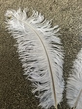 32cm Real Baby Blue Ostrich Feather 48