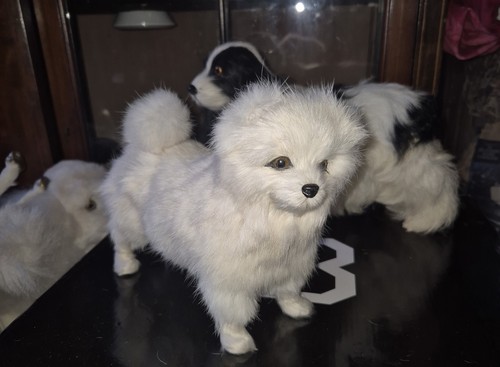 Faux taxidermy chow dog - faux,