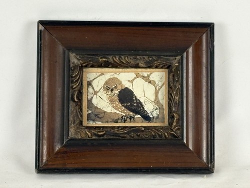 Vintage tawny owl framed - owl,