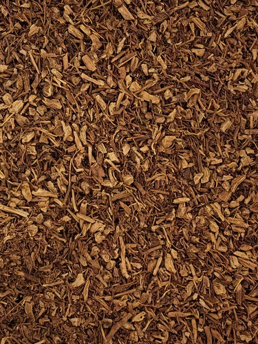 Organic echinacea purpurea - echinacea,