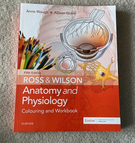 Ross wilson anatomy - &,