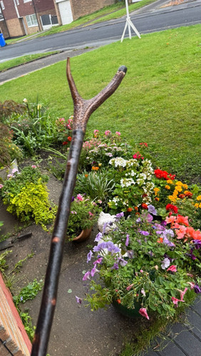 Irish handcrafted blackthorn - irish,
