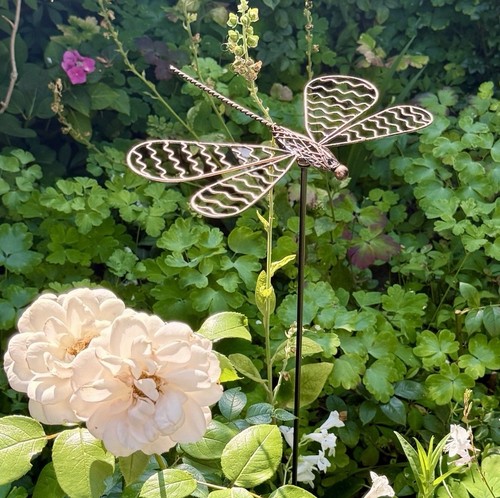 Metal dragonfly garden - metal,