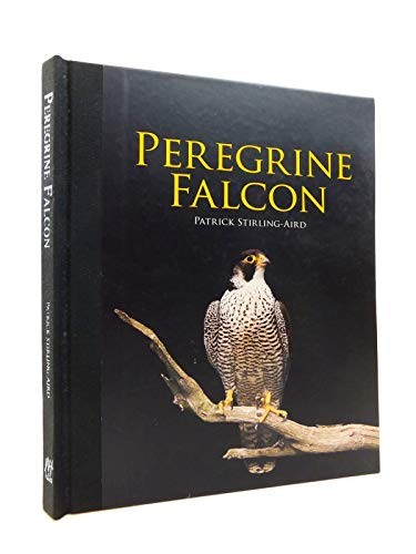 Peregrine falcon - peregrine,