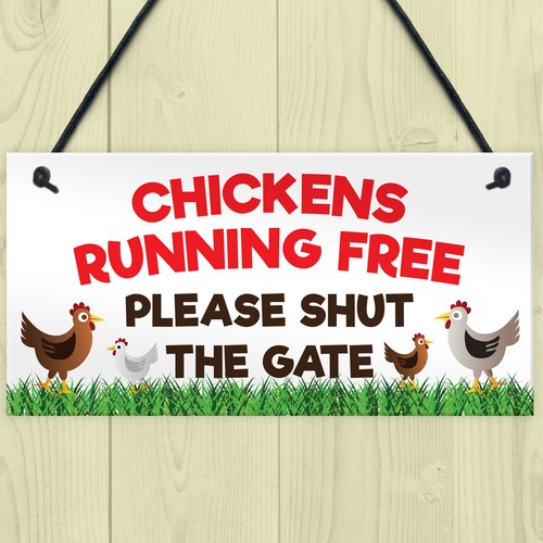 Chickens running free - running,