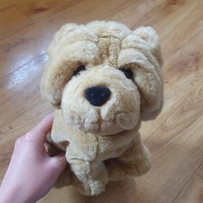Nicholass wrinkly shar pei - nicholass,