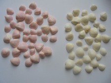 PALE PINK AND CREAMY WHITE