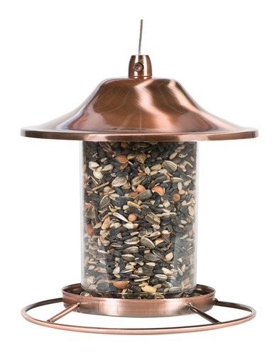 Perky pet wild bird - wild,
