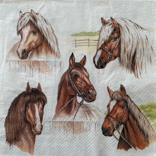 Luncheon paper napkins for - x,