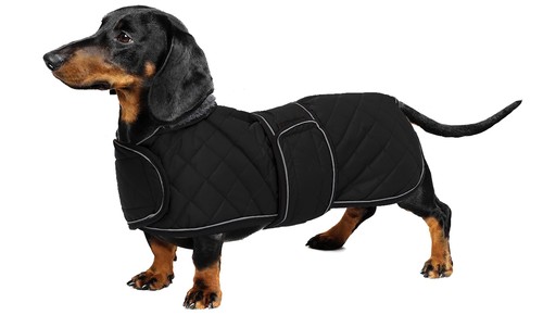 Warm thermal quilted dachshund - warm,