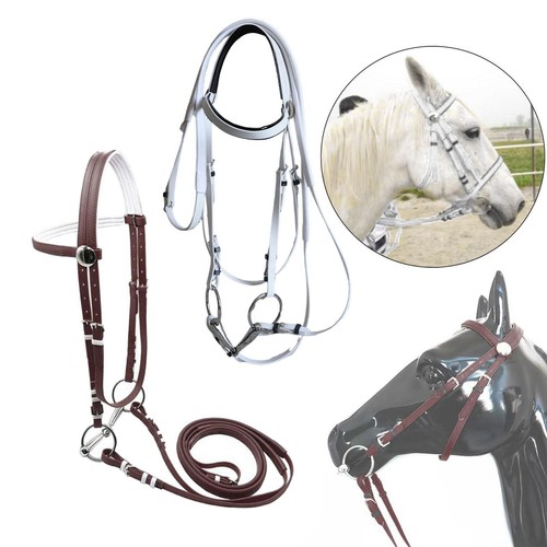 Horse bridle with rein and - with,