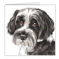 Tibetan Terrier greetings card dog blank card dogs Tibetan Terriers Tibetans art