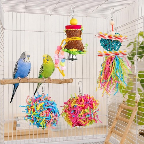 Bird parrot shredding - 4x,