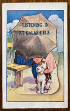 GALASHIELS LISTENING DOG Antique c1925 BIGGAR NOVELTY FOLD-OUT Photos PostCard