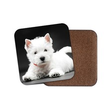 West Highland Terrier Puppy