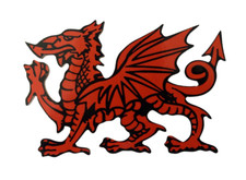 Welsh Dragon Plaque - Welsh