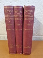 EDWARD STEP Wayside and