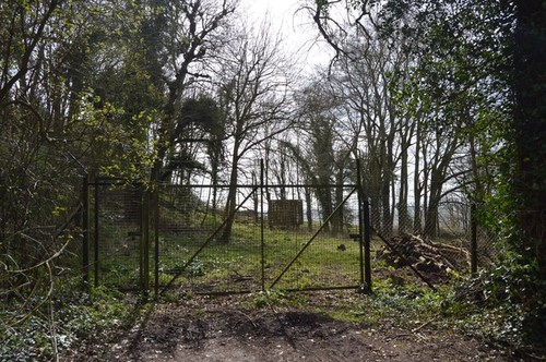 Photo 6x4 fence lympne - photo,