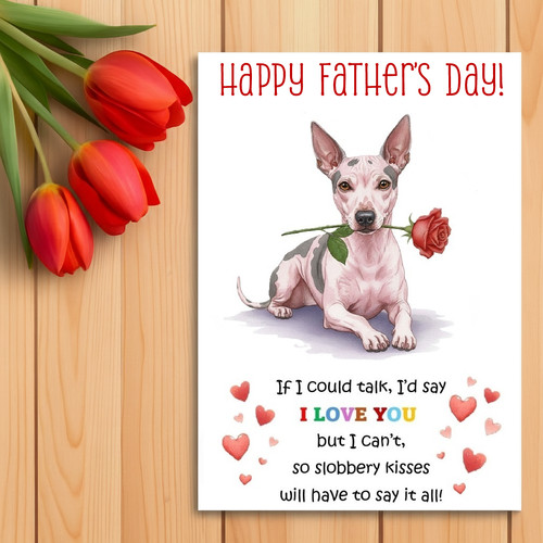 American hairless terrier dog - american,