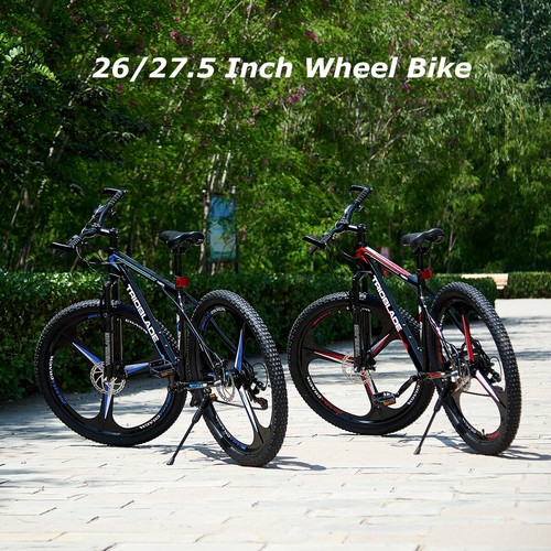 Mountain bike 21 - mountain,