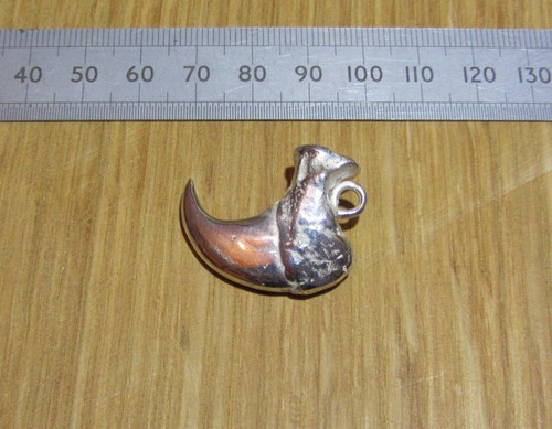 Mountain lion claw - mountain,