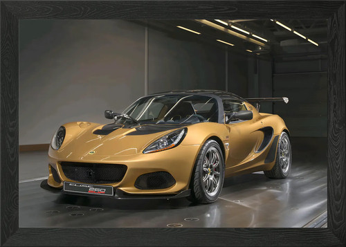 Lotus elize framed wall - elize,