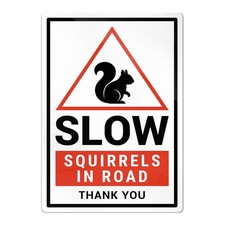 Squirrel Slow Warning Safety