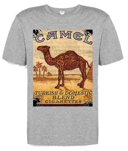 Camel band music clubbing - band,