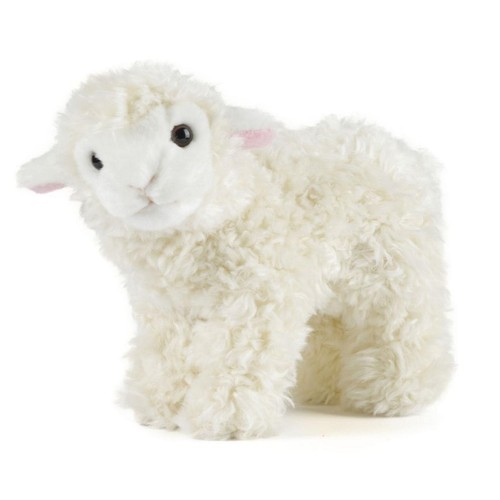 Living nature standing lamb - nature,