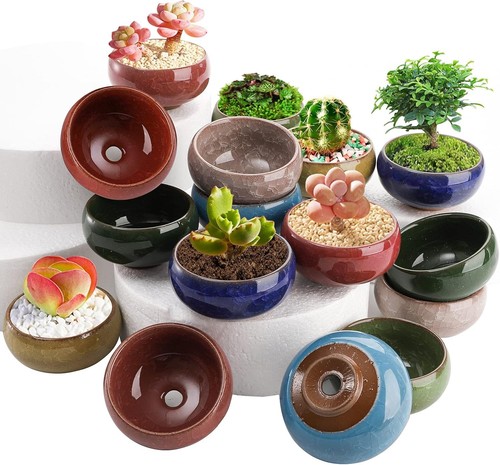 Mini succulent planter - pk,