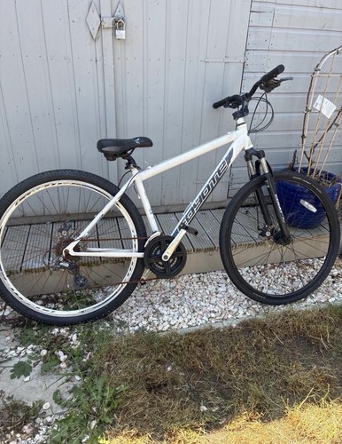 Coyote 354 inch mountain - coyote,