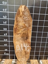 ITALIAN WALNUT LIVE EDGE SLAB