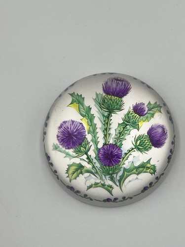 Glass dome scottish thistle - dome,