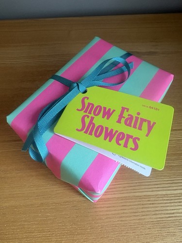 Lush snow fairy showers set - fairy,