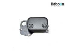 Oil Cooler (Engine) Triumph