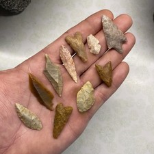 MLC s8393 (10) Neolithic