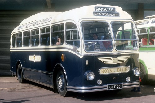 Western national royal blue - western,