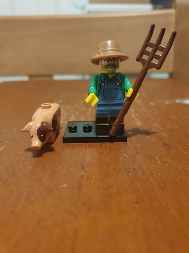 Lego minifigures series - minifigures, 15