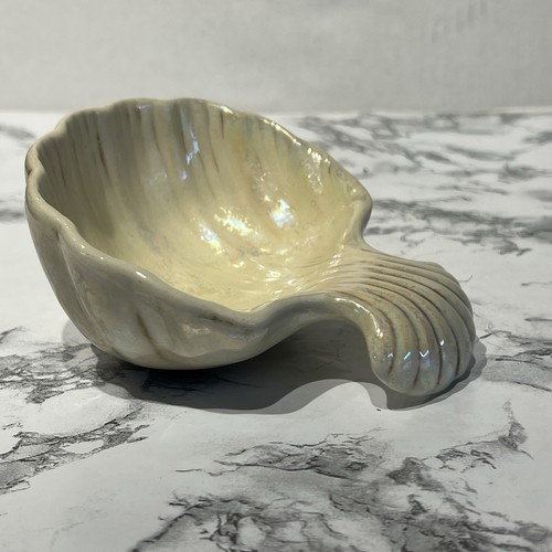 Clam shell soap dish spoon - shell,