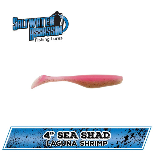 Sea shad laguna shrimp - sea, ct