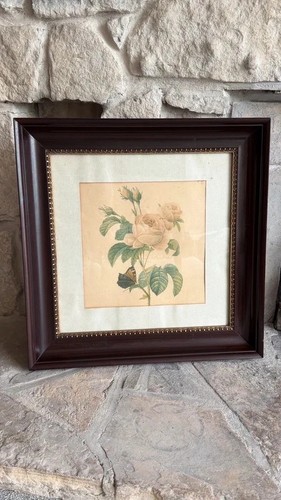 Antique framed botanical rose