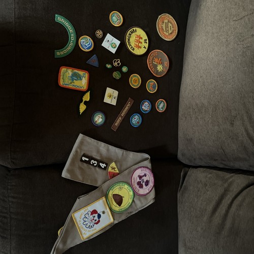 Brownie patches sash pins - brownie, patches,