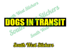 Dogs In Transit MAGNET