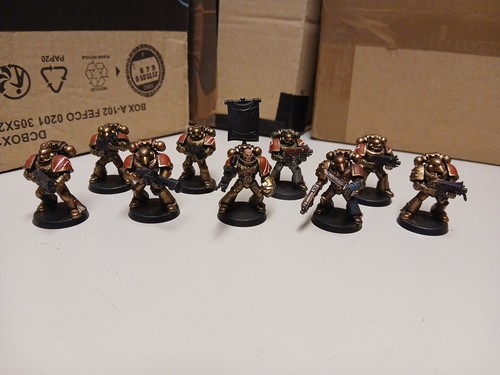Space marine tactical - marine, squad