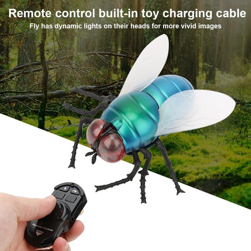 Simulation insect fly - simulation, toy
