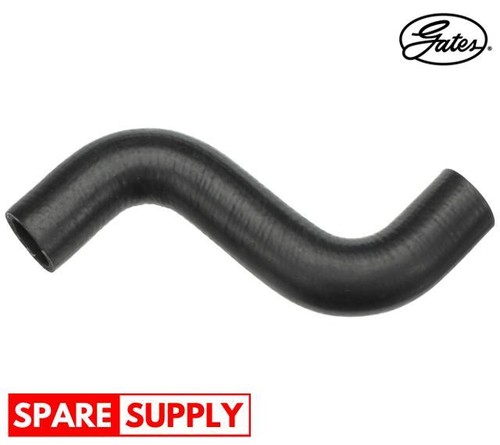 Radiator hose for atlantic - hose, vw