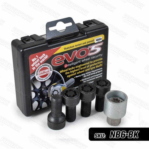 Audi locking wheel bolts - wheel, evo5