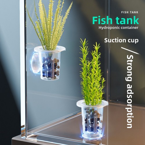 10pcs transparent plant - transparent,