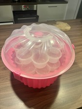 Cupcake carry case with