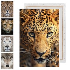 Colorful Animal Art Painting